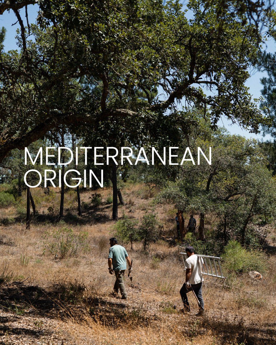 GRANORTE tweet media