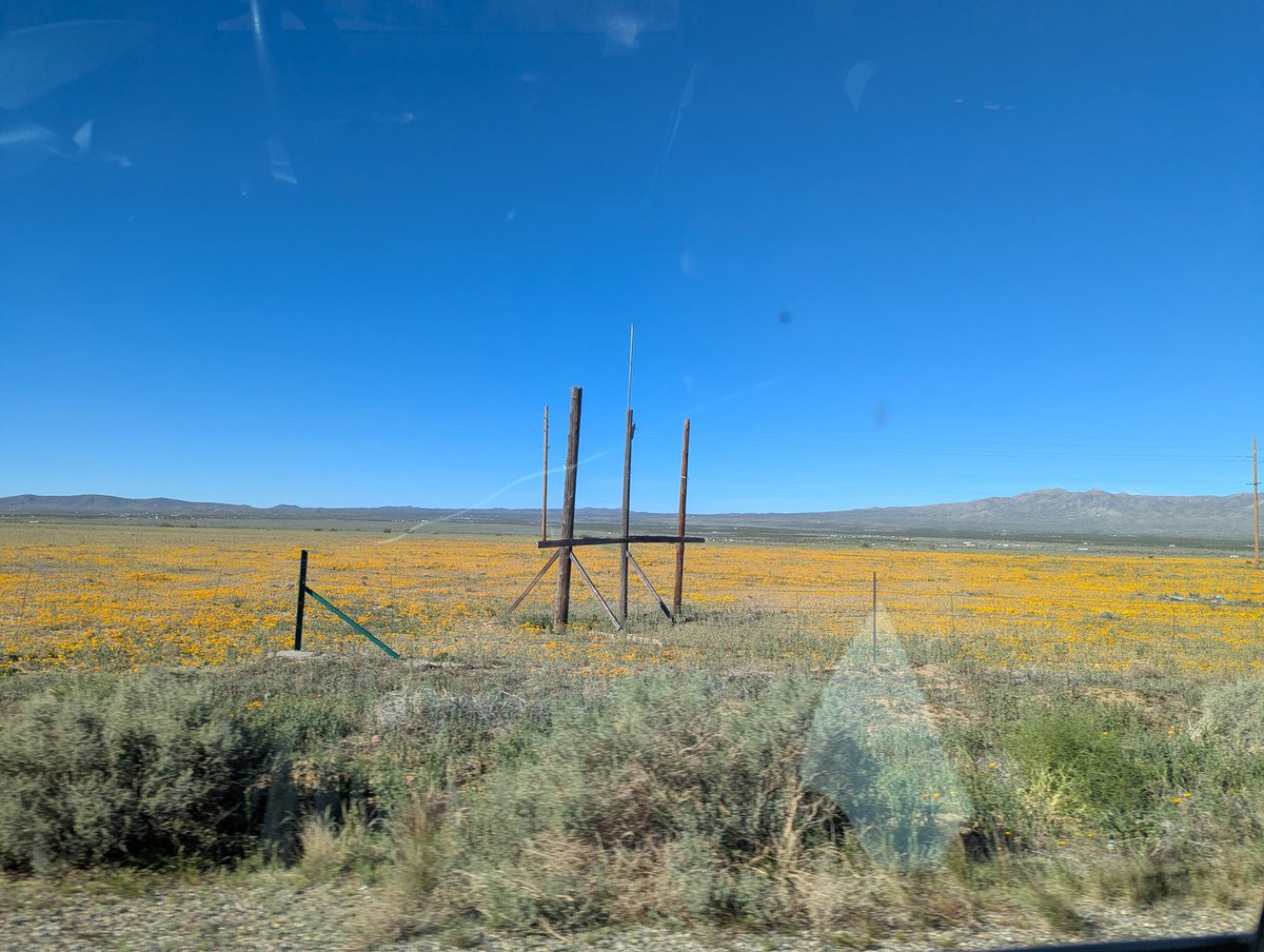 Dan Holiday tweet media