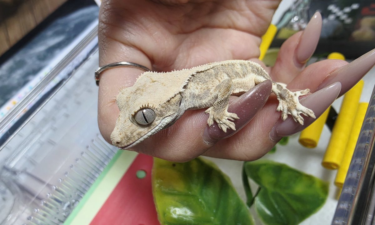 아기들사진올리는곳🐛 tweet media