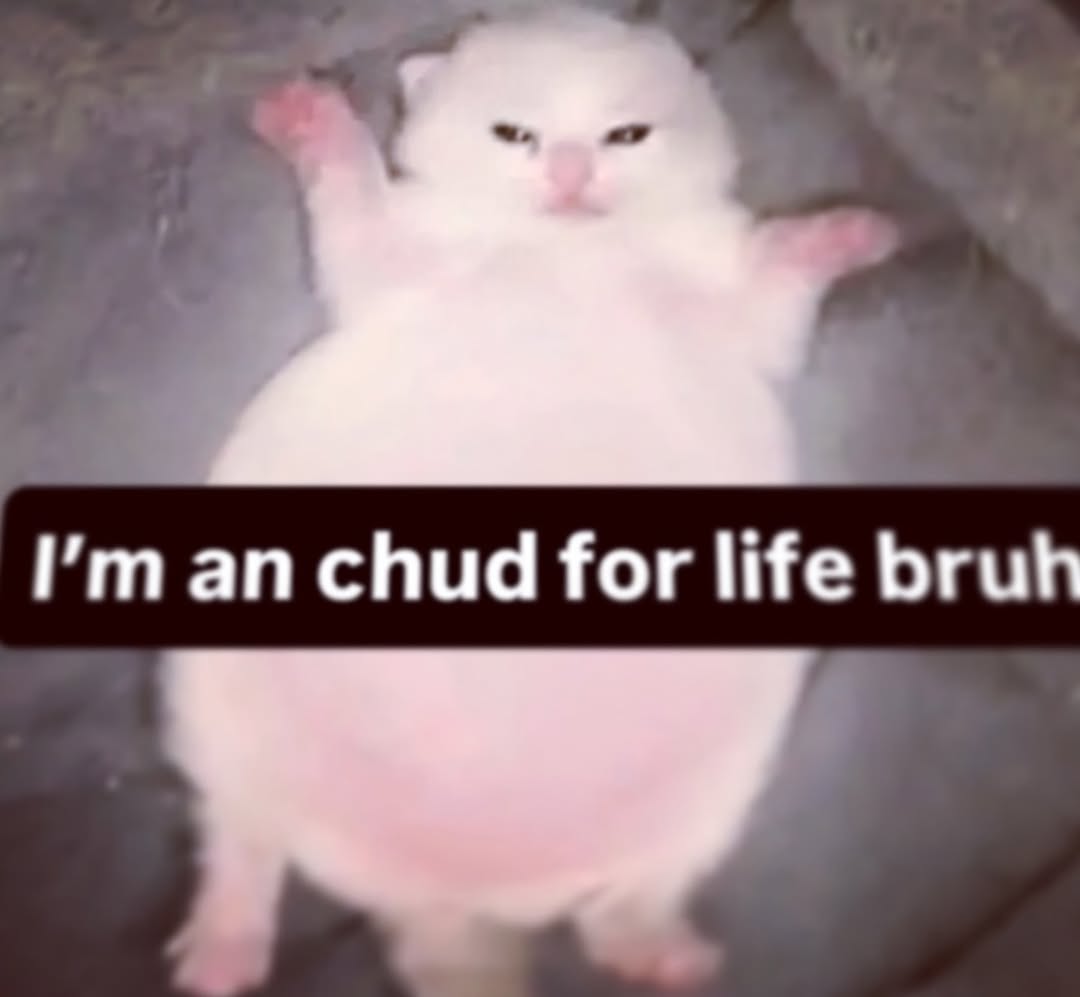 brainrot dimension (@brainrotpostig) on Twitter photo 