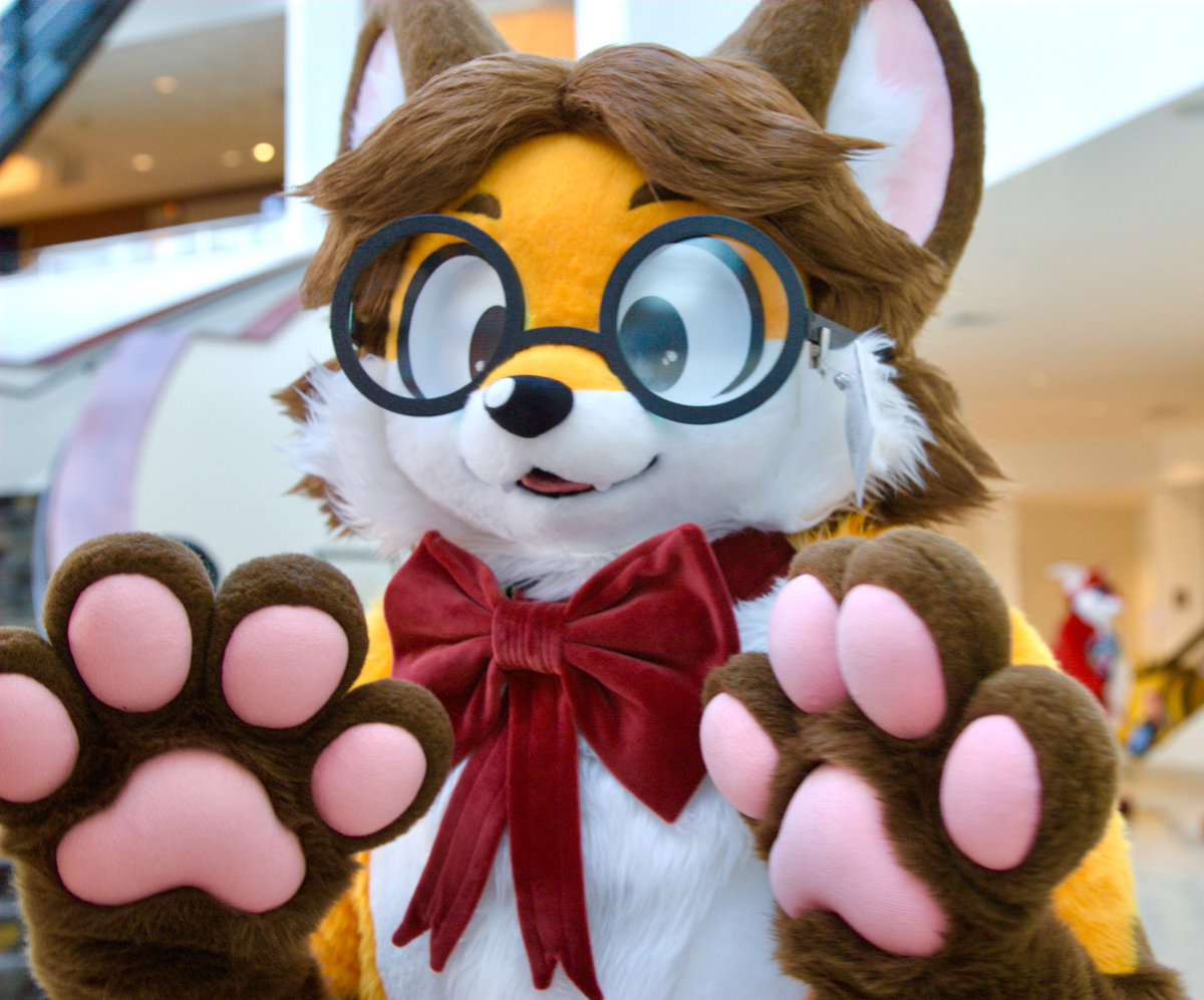 Taylor! 🦊🎀 tweet media