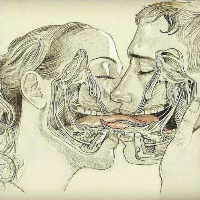 lalife92's tweet photo. 10 faits psychologiques sur les baisers

1. Une femme peut réellement atteindre l'orgasme simplement en s'embrassant. https://t.co/6xyJC9qulo