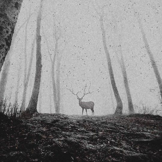 Big Brain Philosophy tweet media