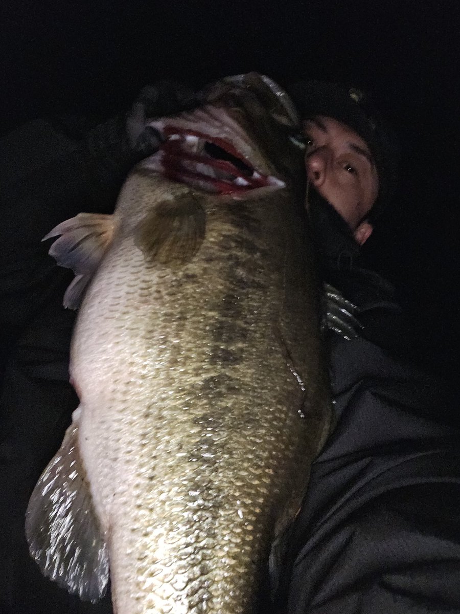 ぎんちゃん tweet media