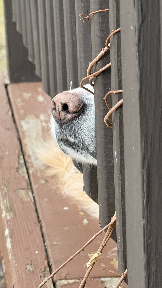 Mike Frezon tweet media