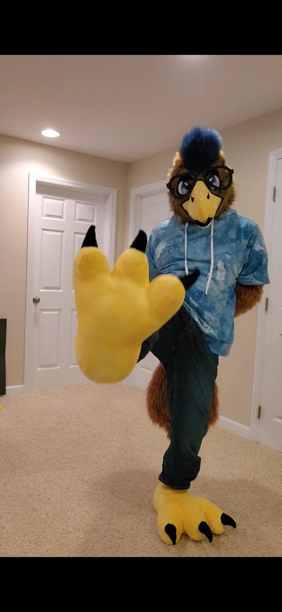 That freakin bird that I hate tweet media