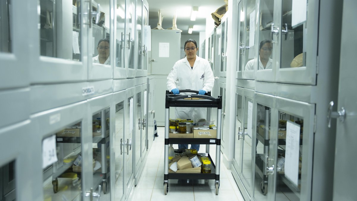 Charles Darwin Foundation-Fundación Charles Darwin tweet media