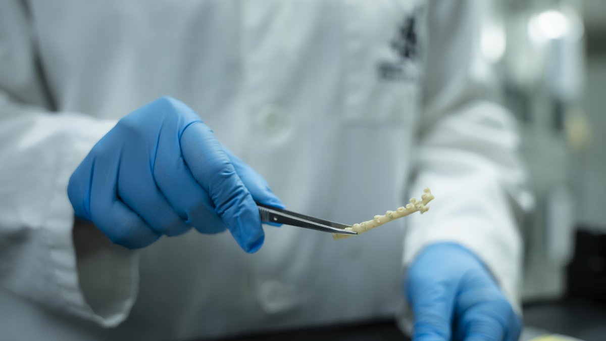 Charles Darwin Foundation-Fundación Charles Darwin tweet media