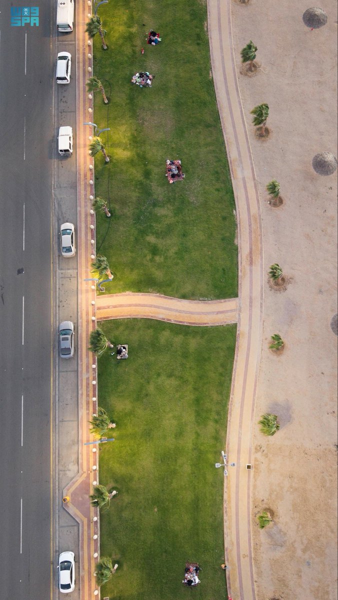 إمارة منطقة تبوك tweet media