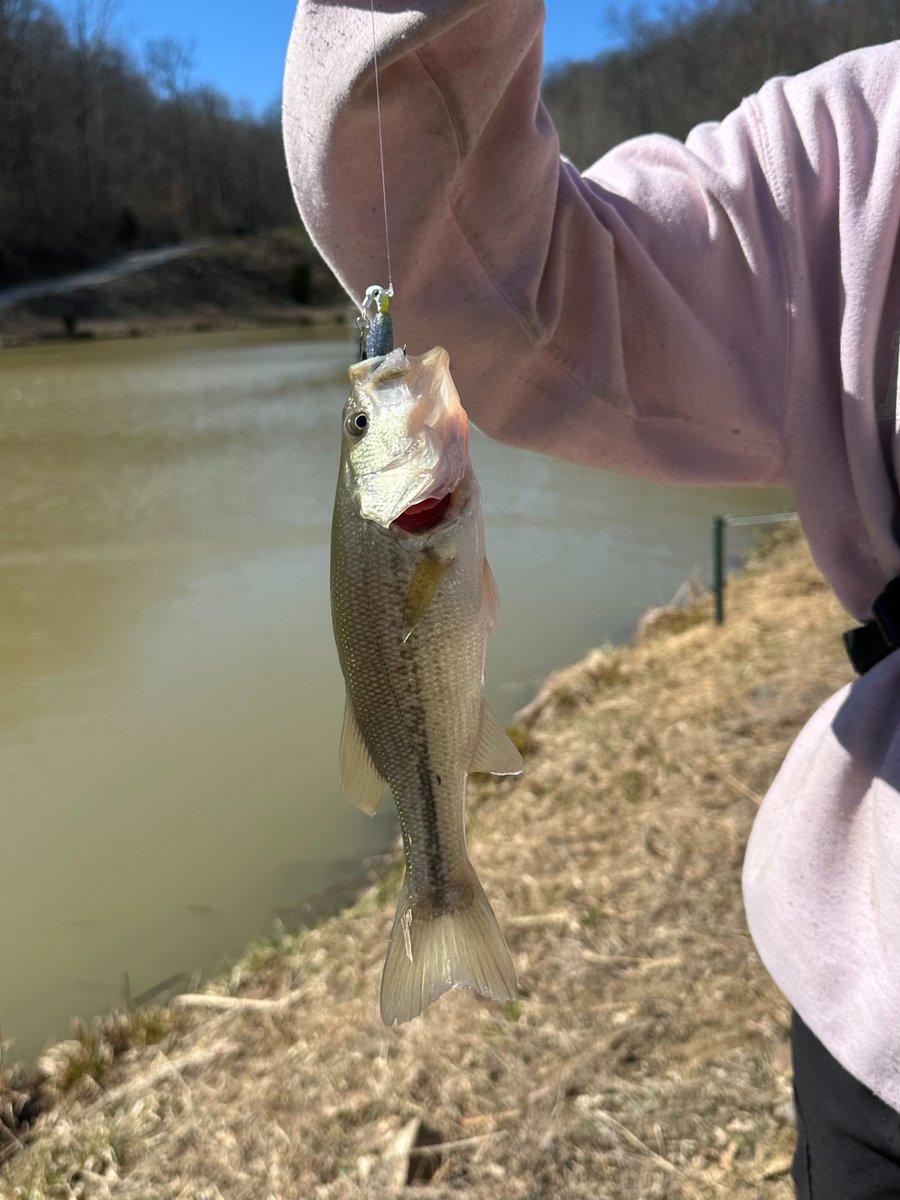 French Lick Resort tweet media