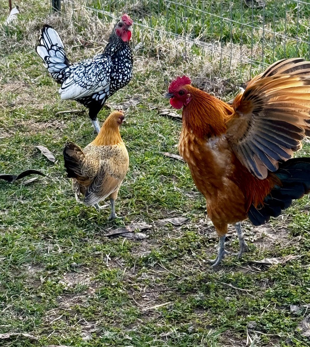 Angela Suttner - Warrior Against Bullying! tweet media