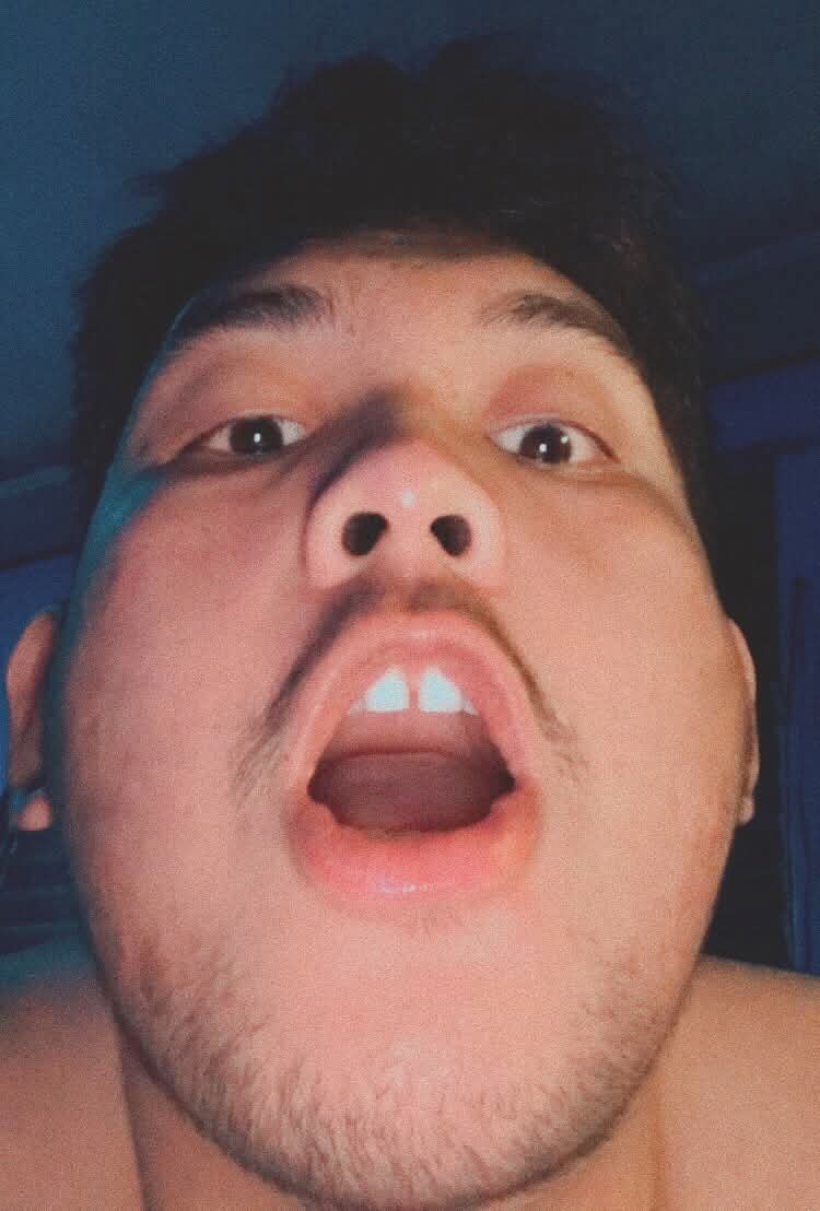 BJorn 🐻 tweet media