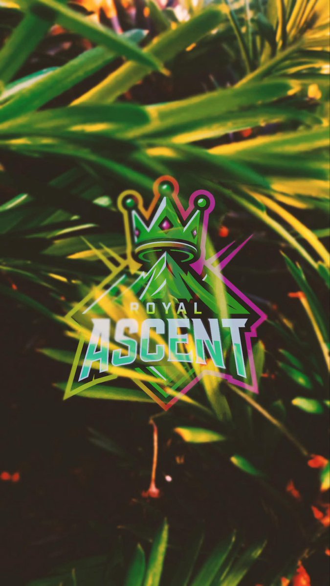 𝒥𝒶𝓏𝓂𝒾𝓃𝑒 tweet media