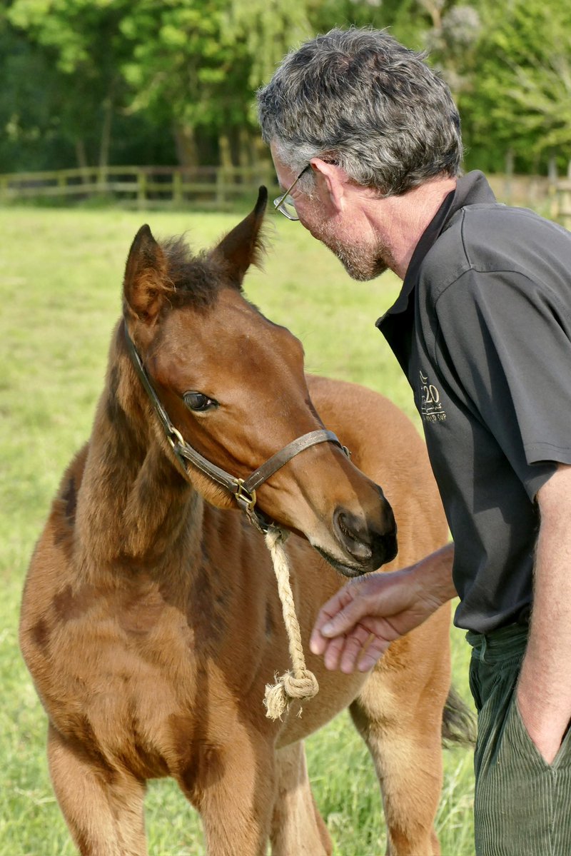 Emma Berry tweet media