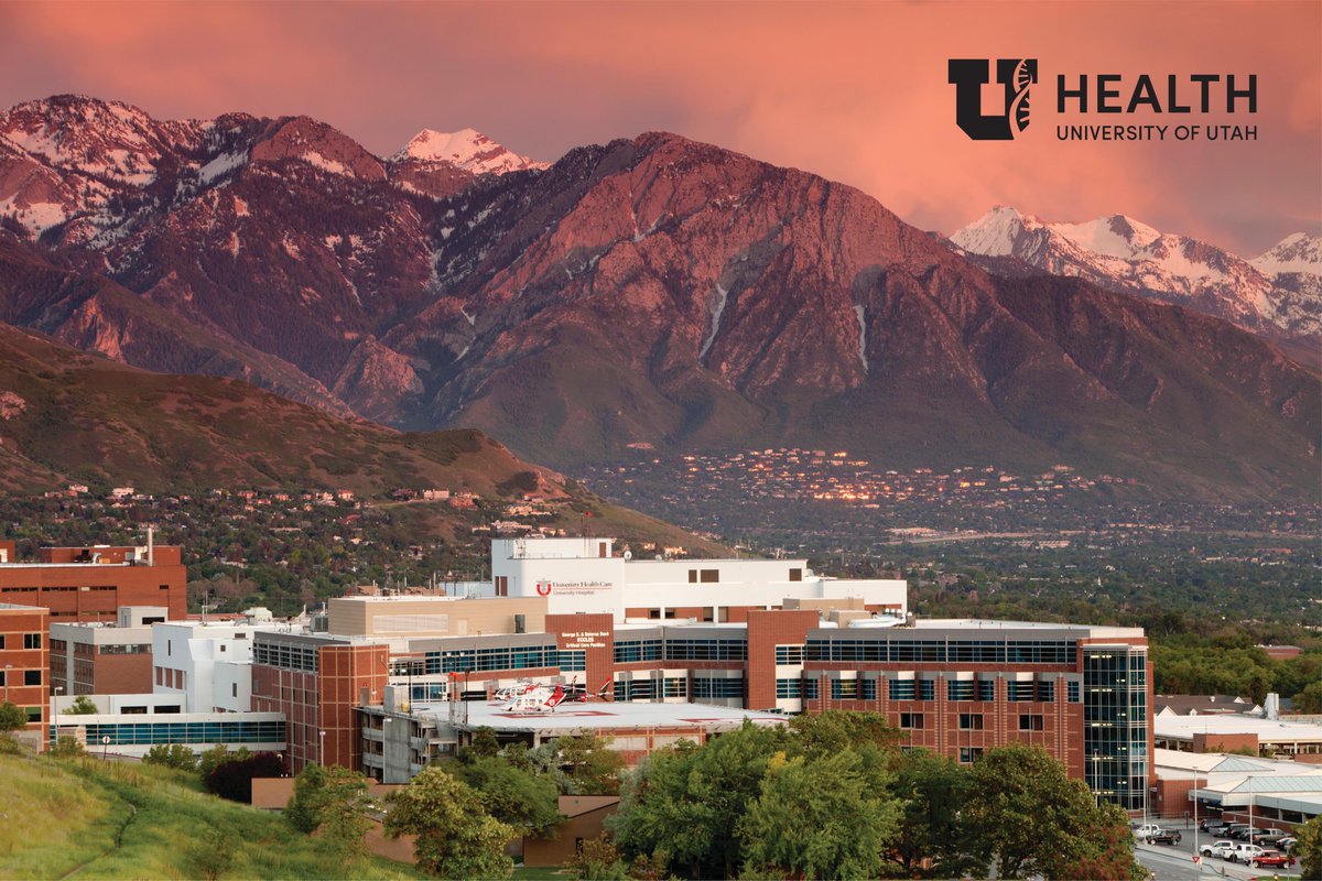 Chris Zimmerman tweet media