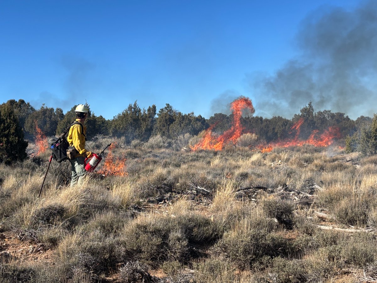 BLM Colorado Fire tweet media