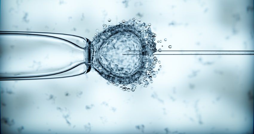 Doctors_net_uk's tweet image. Fertility treatment is linked to small increase in uterine and ovarian cancer, a major study has found #doctors #IVF #NHS buff.ly/Y2a7y4z