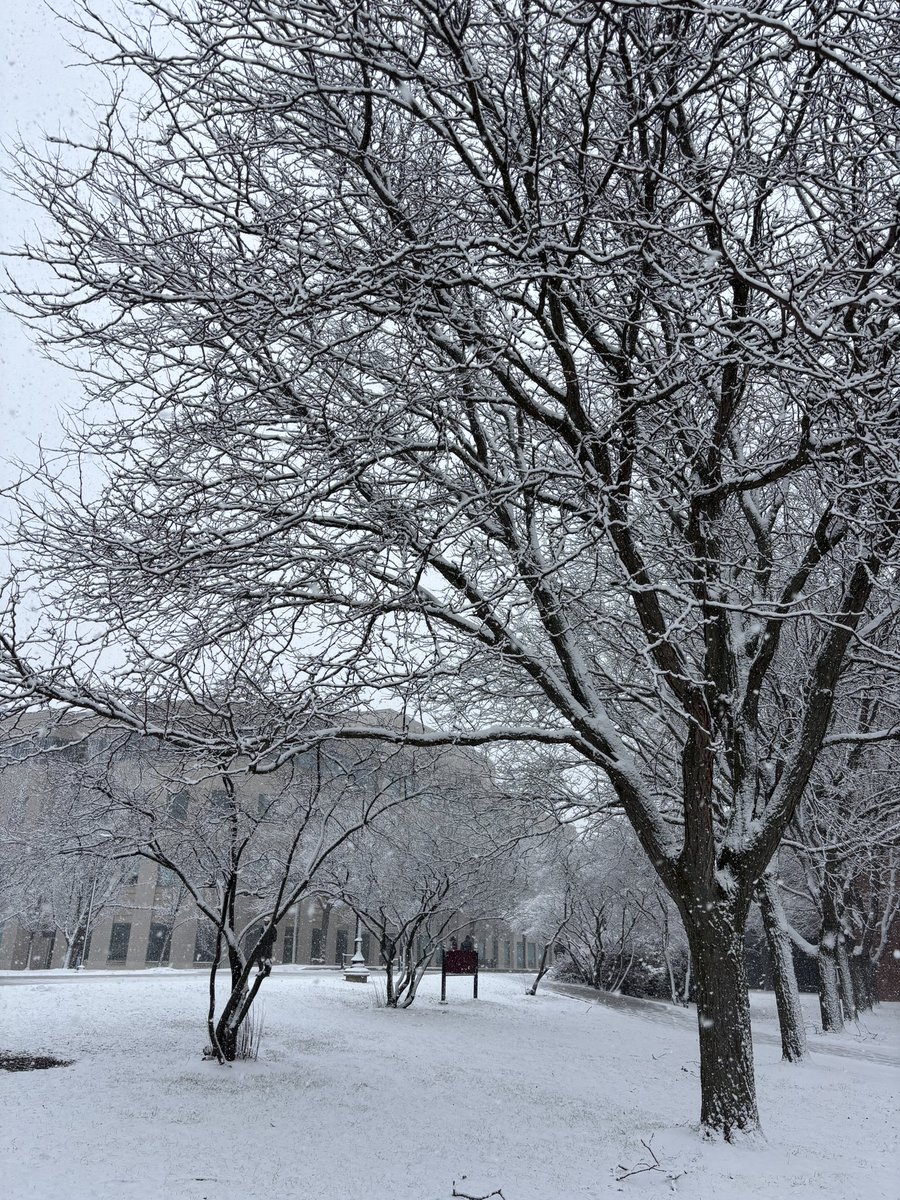我始终觉得做我仇人是最幸福的事情。这破天我出门上学了，去上仇人老师的课