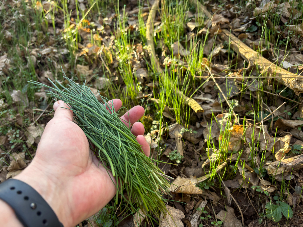 Jaroslav Macháček tweet media