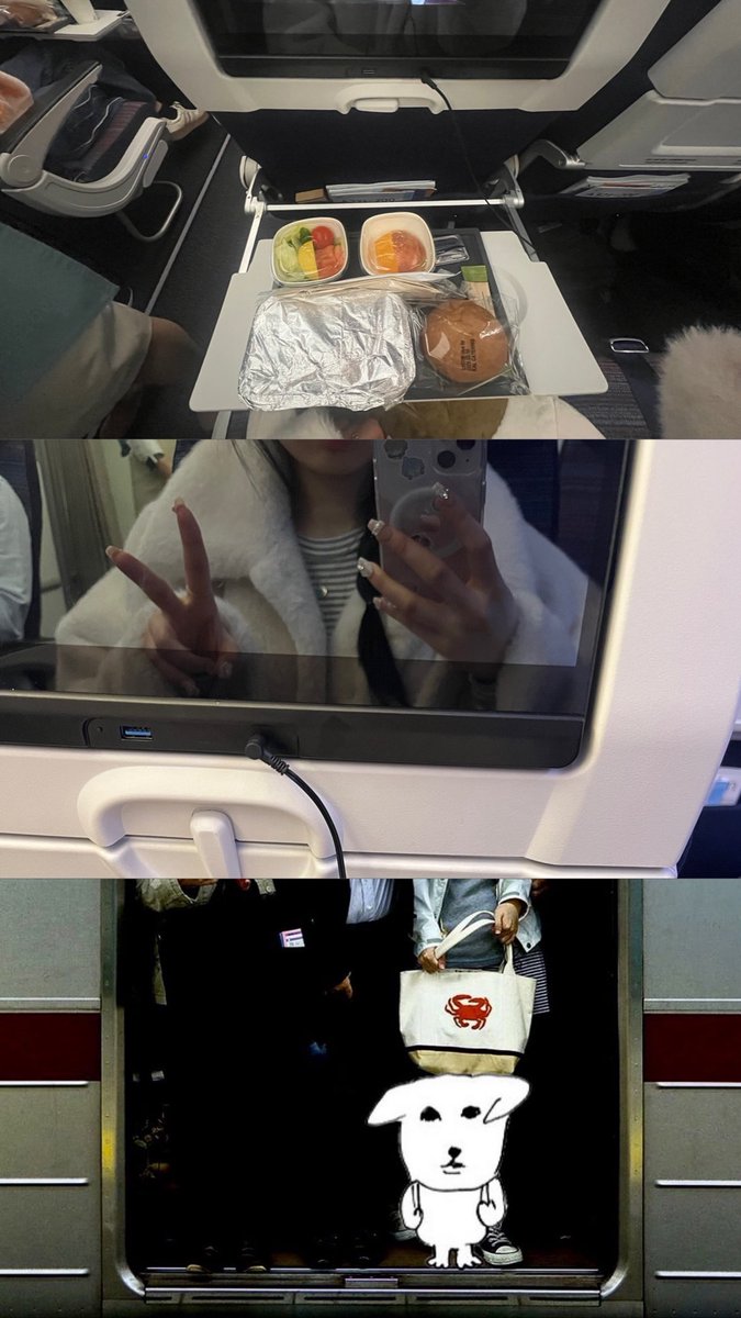 _00533f's tweet photo. 근황 ♥.♥ https://t.co/GPgFZ1LaFK