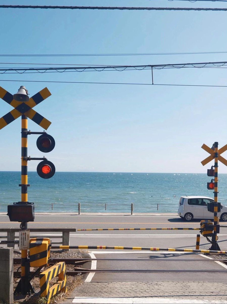 Fae°❀⋆. tweet media