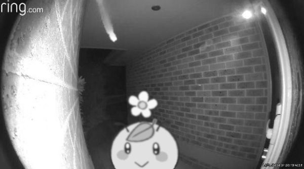 Mot_M0t_'s tweet photo. @Shady_Dolls @KumorinOta Daybee is still waiting collect that money you owe her https://t.co/1LRSLWc6Ek