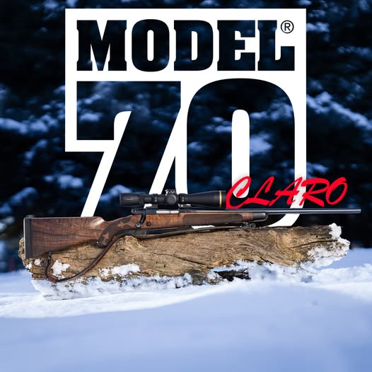 WinchesterRAC's tweet photo. WINCHESTER 🍁
Model 70 Super Grade AAA Claro.
#Winchester #Model70 #Boltaction https://t.co/ImhZML67Fb