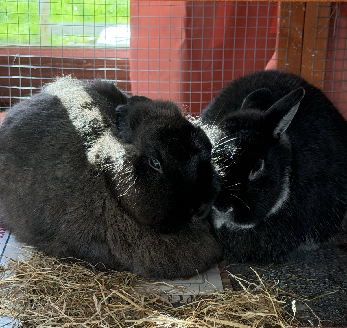 💋 from Donny &amp; Faith ❤️