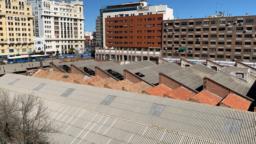 Antonio Giraldo tweet media