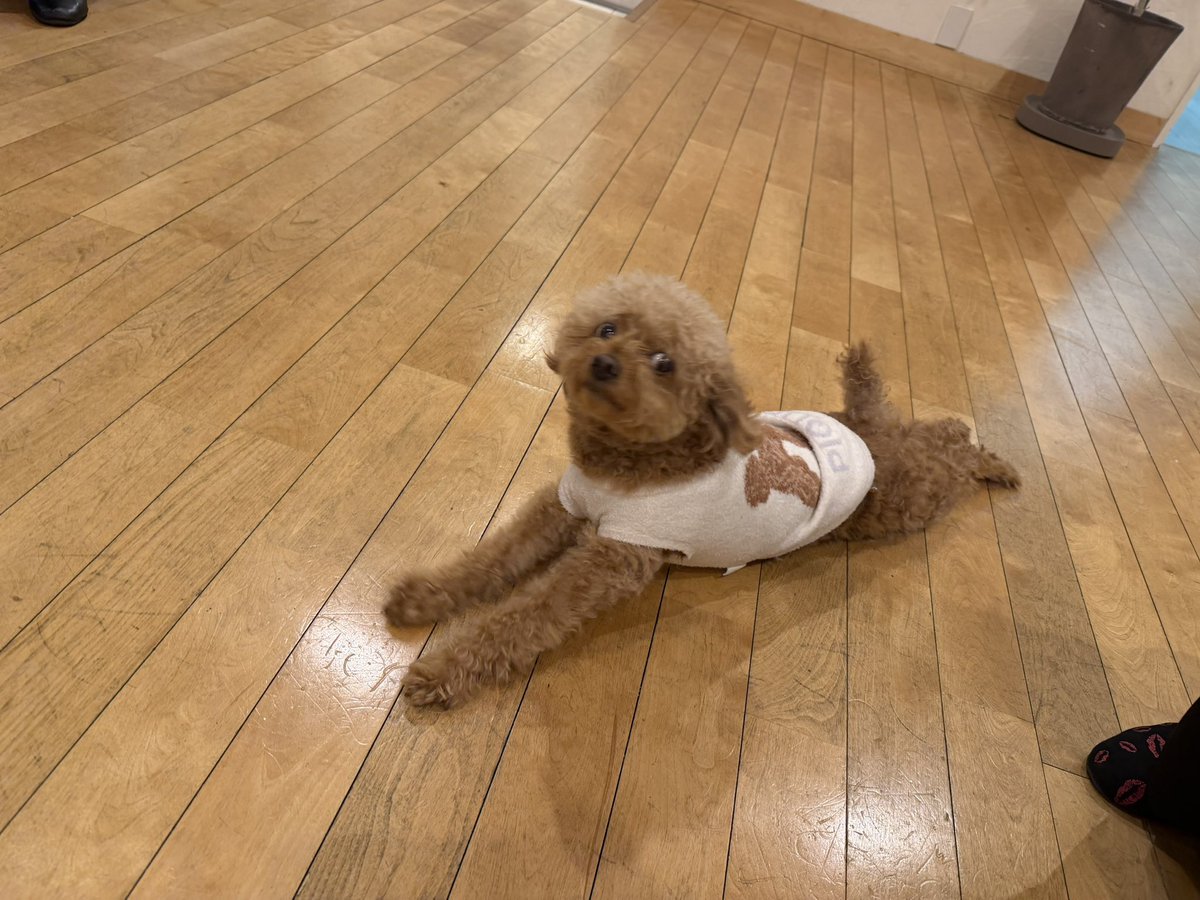 Assist57916030's tweet photo. のびるなり
ナラちゃんとあそんだなり https://t.co/dhXiz42Tb2