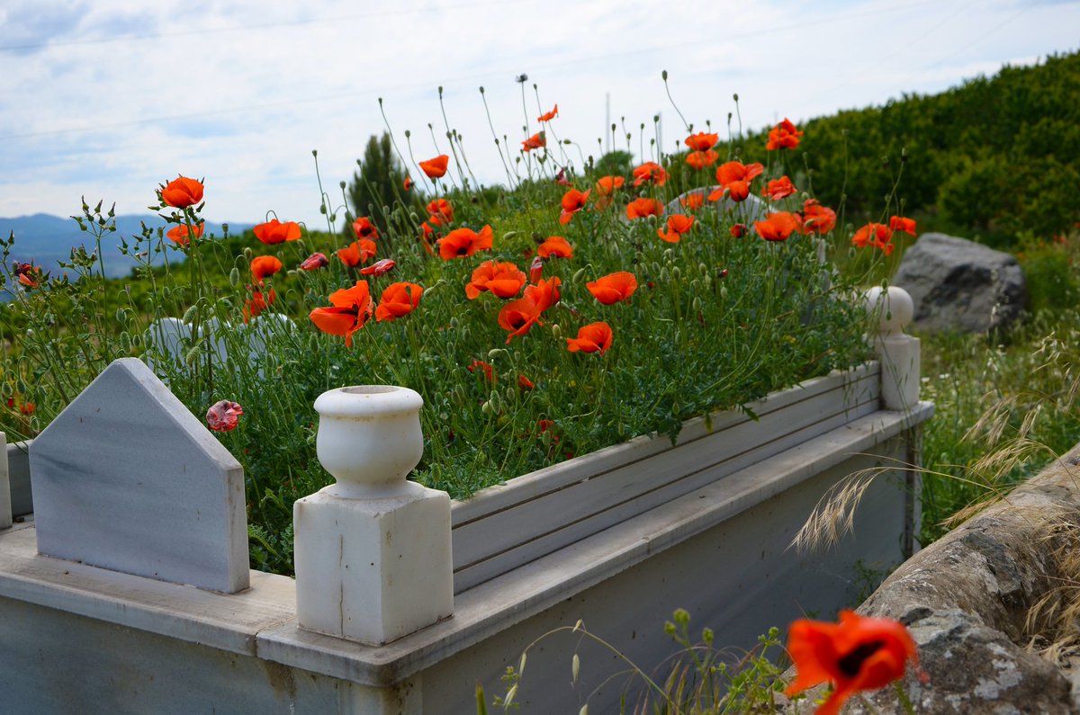 KadirAtes tweet media