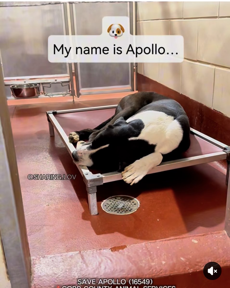 Fionaismybitch tweet media