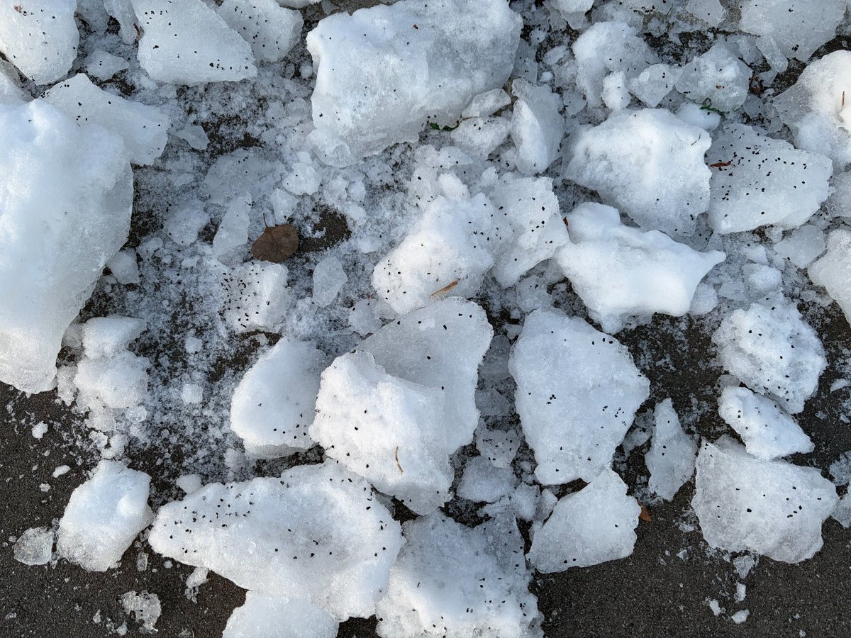 UMN Turfgrass Science tweet media