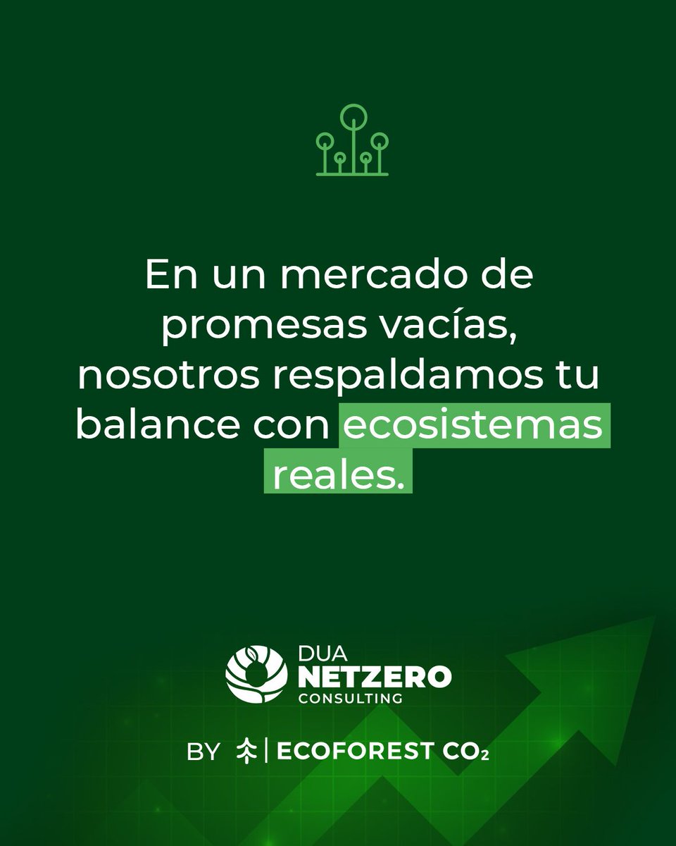 DUA NetZero Consulting tweet media