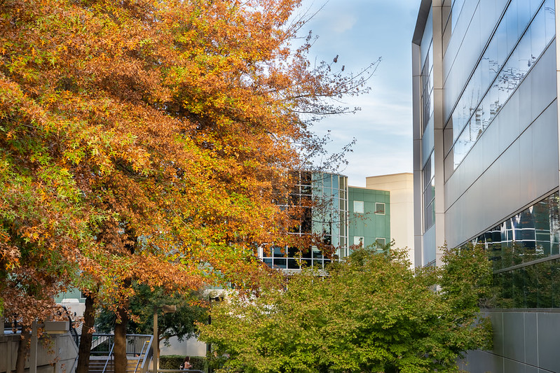 California EPFP tweet media