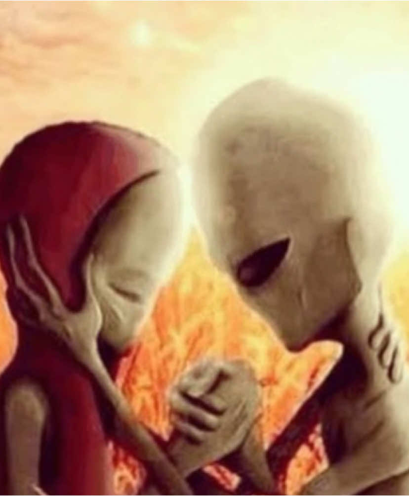 vera: “y dónde cojones está jode gabriel?”
yo enseñándole su ubicación porque había entrado al buscar 1 minuto antes