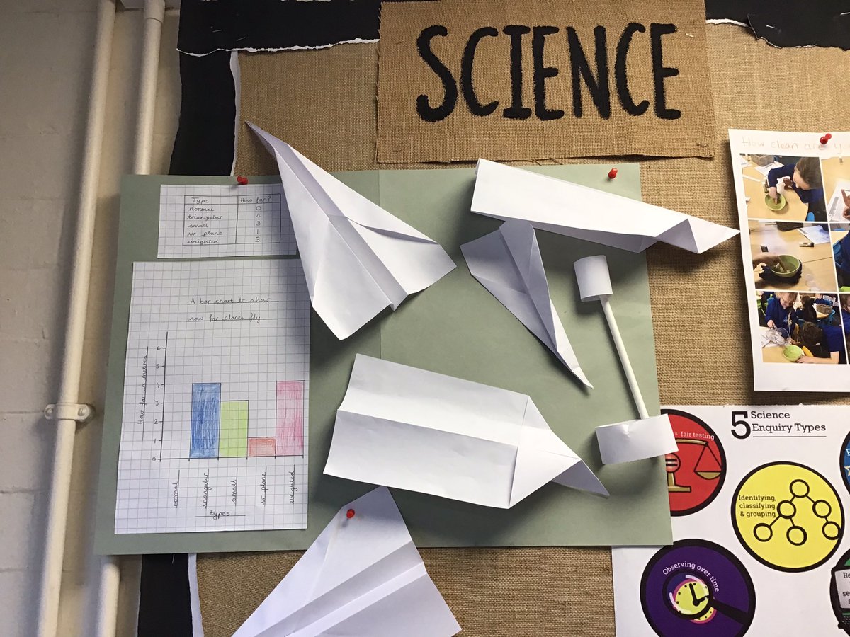 WhitegateBirch tweet media