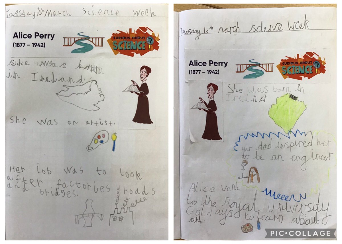 WhitegateBirch tweet media