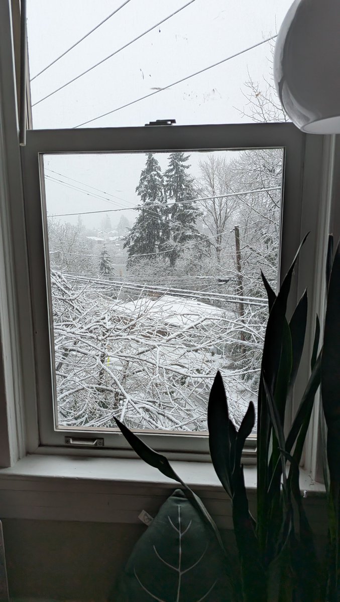 Karidas! tweet media