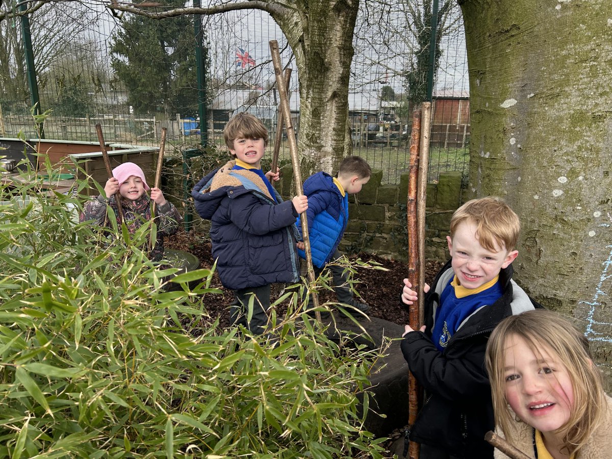 Adlington Primary tweet media