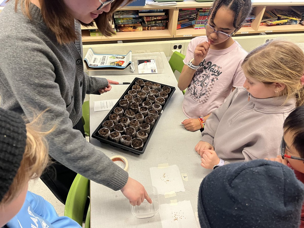 McM_MsT's tweet photo. TY MsXu! What are we up to now ๐ค @Tomatosphere ๐๐ฑ๐
So excited to get the seeds ๐ and one packet spent time on the #InternationalSpaceStation but which one? Well, it's time to plant, investigate ๐
#tomatosphere @LetsTalkScience
@VicCollege_UofT @UofT @tdsb https://t.co/XRM4paYQUH