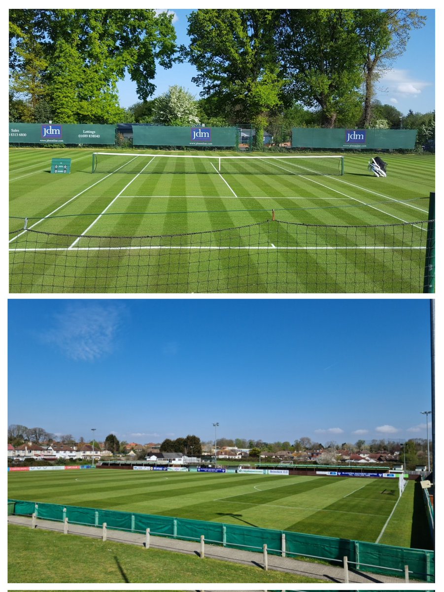 Stephen Johnson tweet media