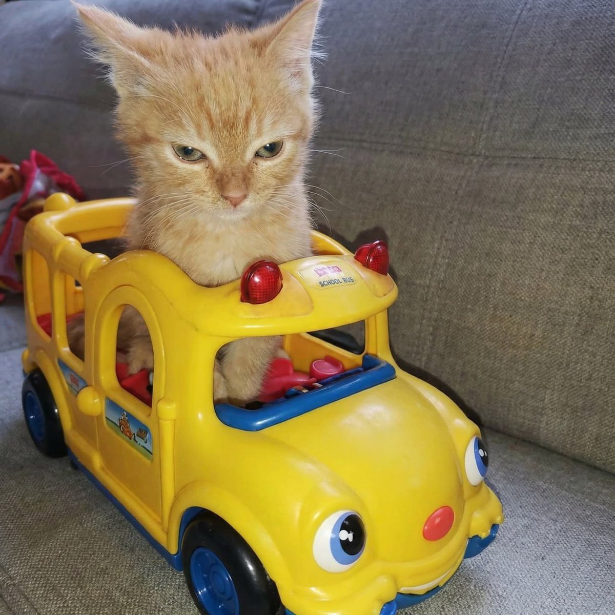 BTC , SOL AND ALTS ARE PUMPING.

THE TRENCHES VOL IS RETURNING

RUN IT BACK TURBOOOOO!!

runitbackturbo.fun

CA: 3AVVK3sq3SC94vugABD7Nc2XvveLo41jocA5bqpZpump