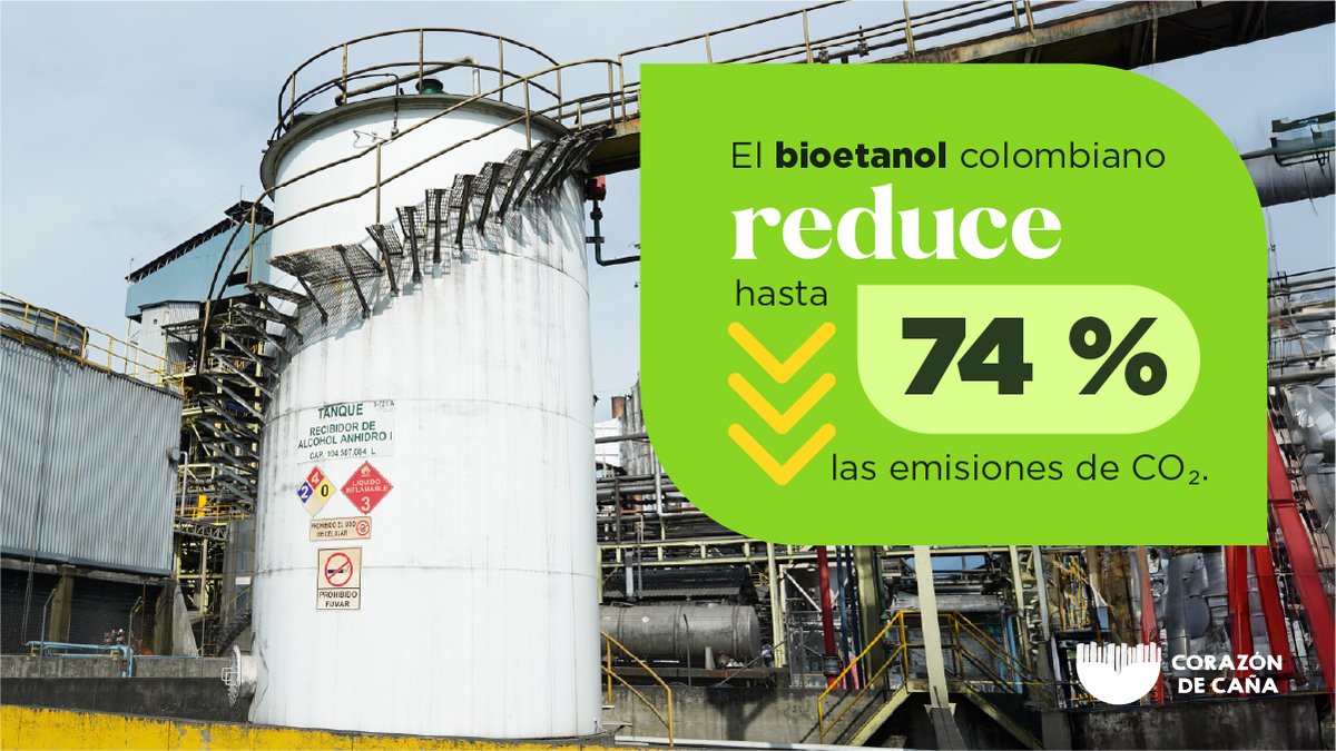 CorazonDeCana's tweet photo. De la caña se produce bioetanol, que se mezcla con la gasolina para que sea menos contaminante. ¡El bioetanol colombiano es el más amigable con el medio ambiente! https://t.co/qm153Kf19f