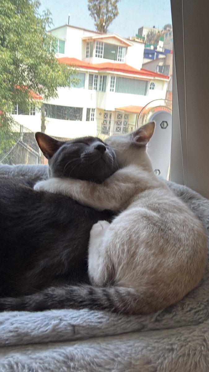 Katuuta✨ tweet media