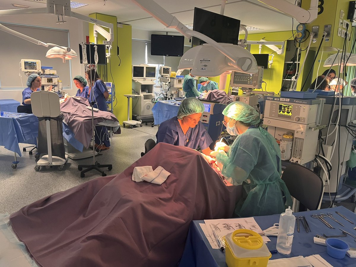 CTF ASACEC tweet media