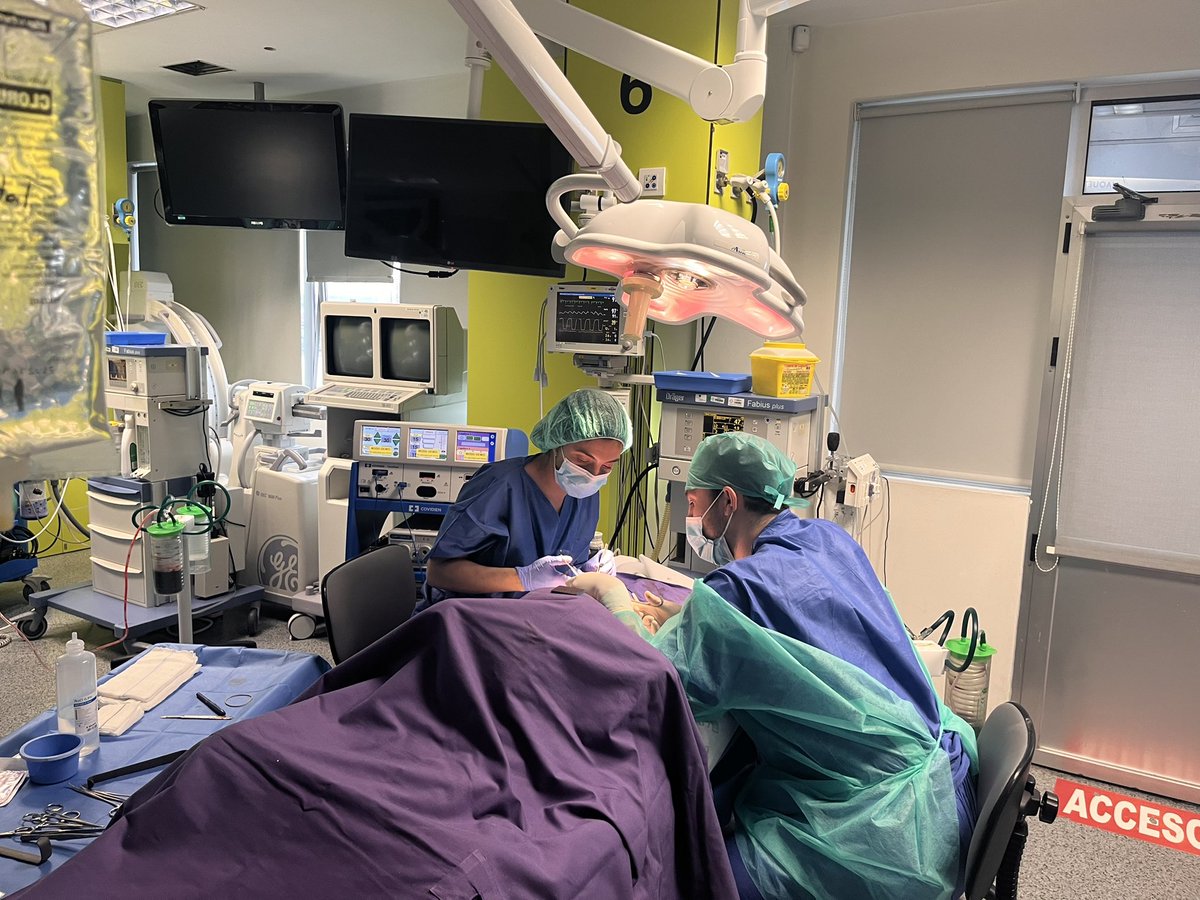 CTF ASACEC tweet media