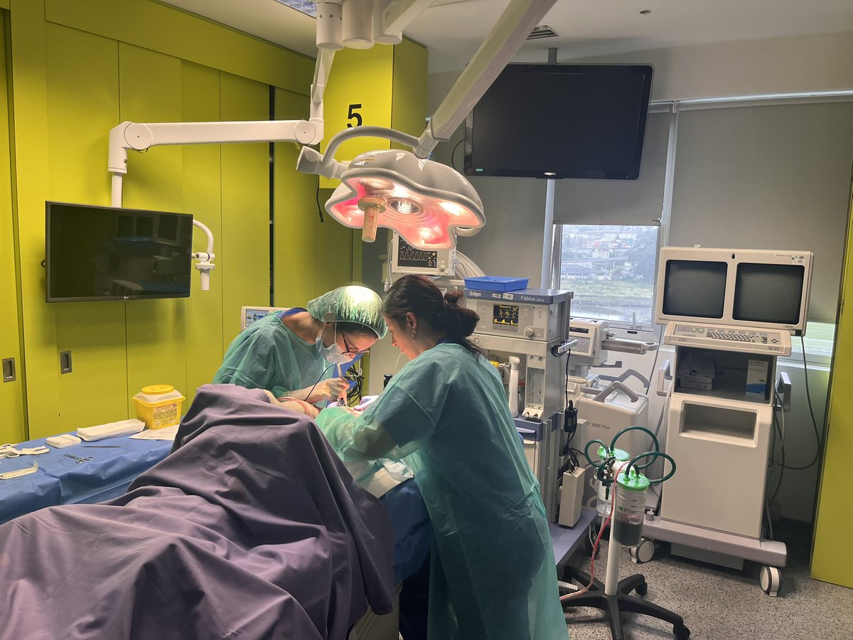 CTF ASACEC tweet media