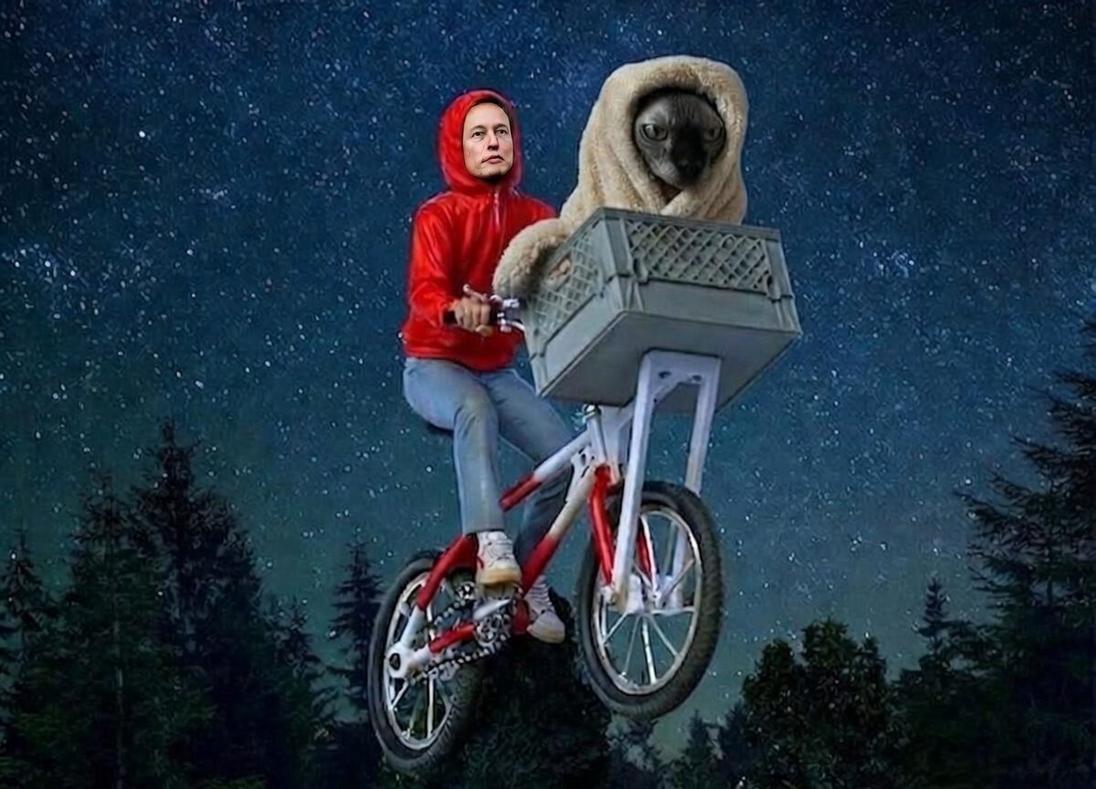 JASMINE COIN tweet media