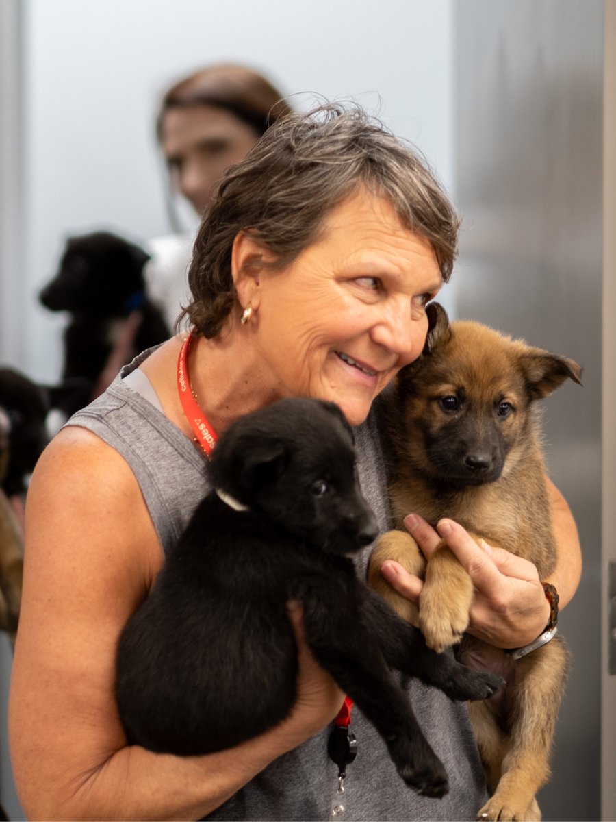 CELLULAR SALES tweet media